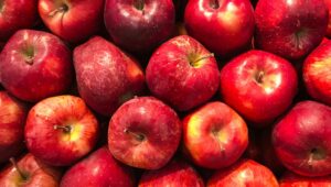can we eat apple