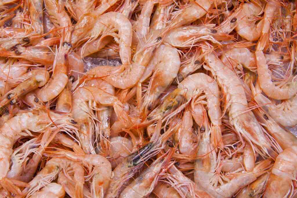 Can we eat shrimp shells?