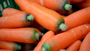 Can we eat carrot tops
