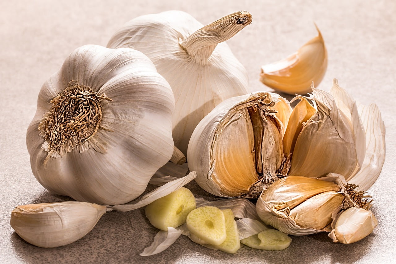Can we eat garlic shoots?