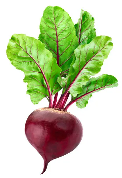 can we eat beetroots leaves